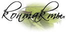 контакты